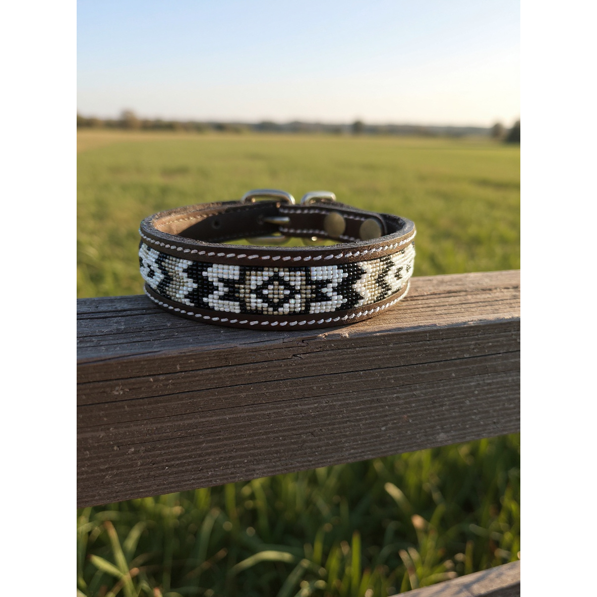 Epic Padded Leather Dog Collar with Beaded Design A
