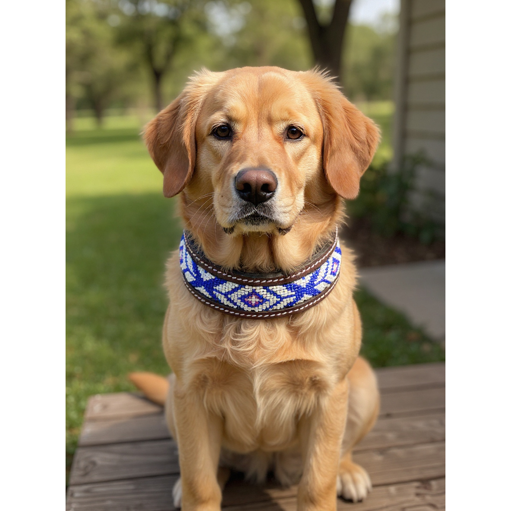 Epic Padded Leather Dog Collar with Beaded Design G