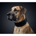 Black ''Crown'' soft leather dog collar