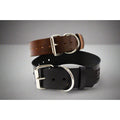 Leather Dog Collar