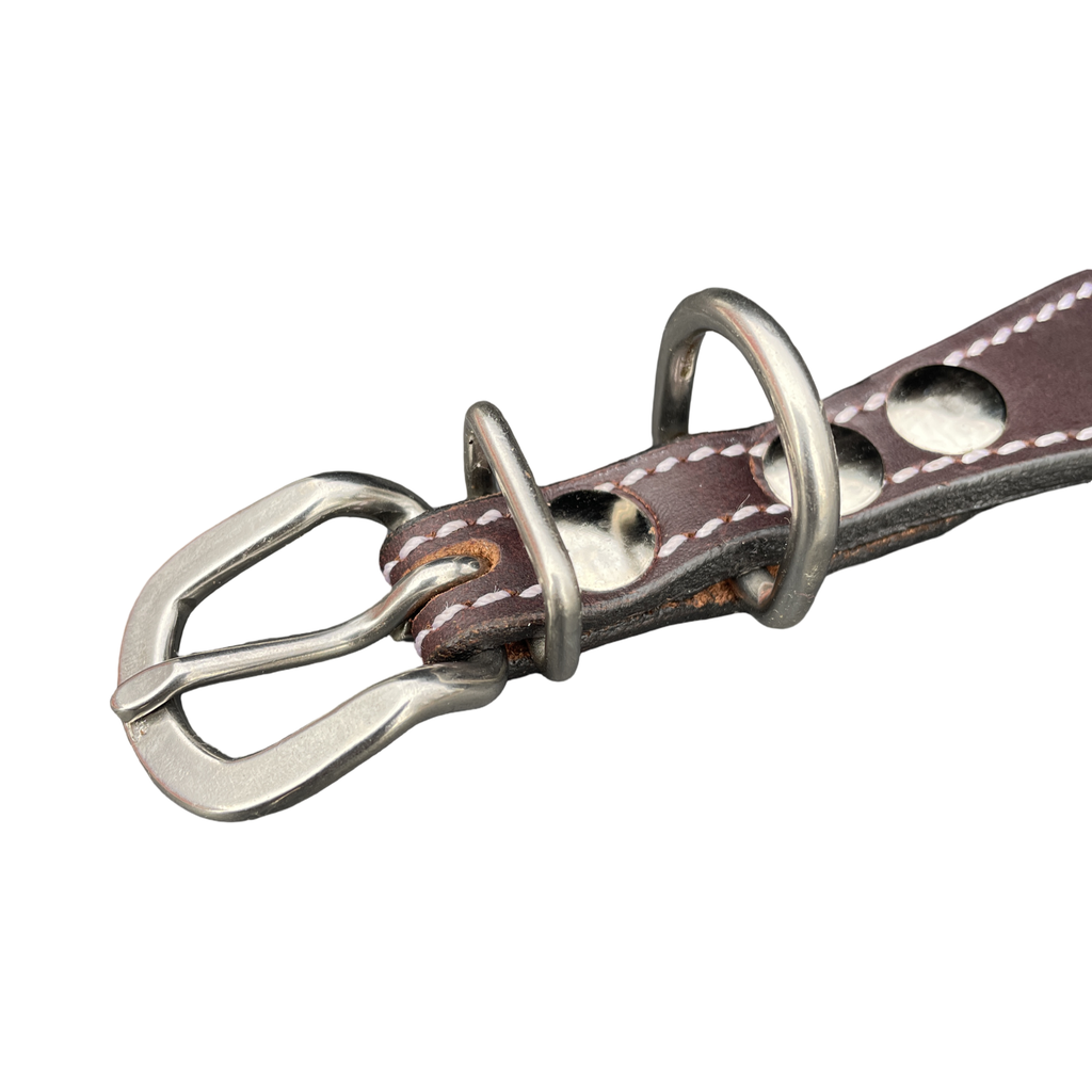 Epic Padded Leather Dog Collar with Beaded Design G